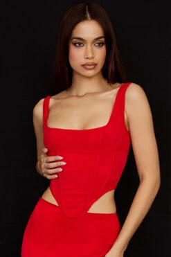 Scarlet Mesh Corset 15 Scarlet Mesh Corset -Traumhafte Kleider edetta r1