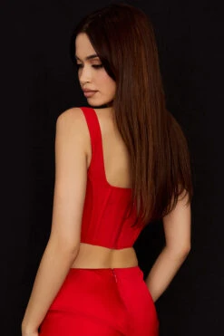 Scarlet Mesh Corset 18 Scarlet Mesh Corset -Traumhafte Kleider edetta r4