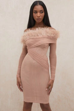 Blush Mesh Corset Dress