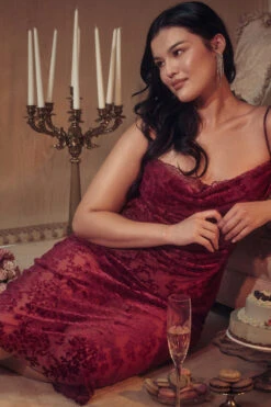 Cranberry Devore Midi Dress -Traumhafte Kleider shot 05 1533