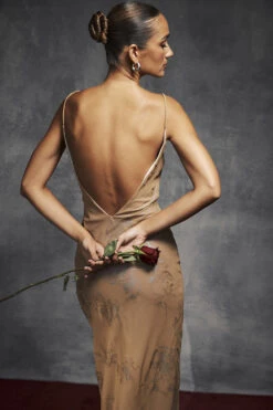 Iridescent Cafe Au Lait Maxi Dress -Traumhafte Kleider untitledcapture105550